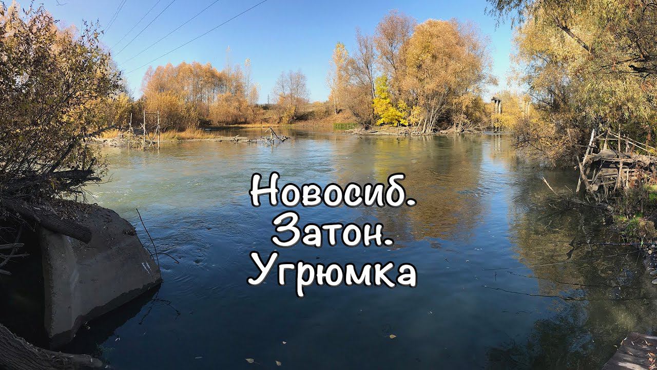 Новосиб. Затон. Угрюмка