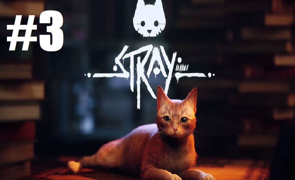 Stray ps. Stray котенок. СТРЕЙ на пс5 диск. Stray ps4 купить.