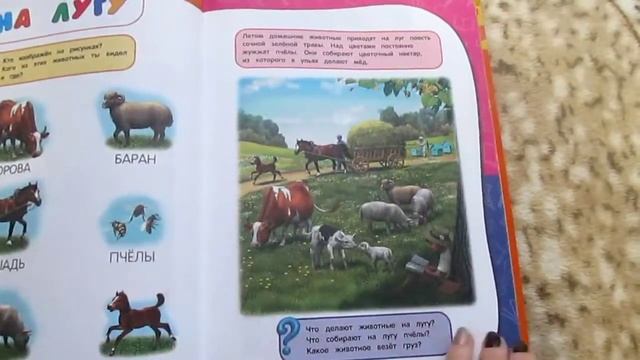 годовой курс занятий от 2 - 3 лет смотреть онлайн