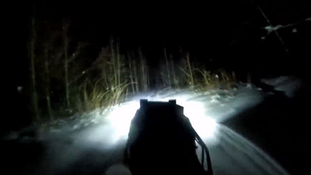 Красивый заснеженный лес, поездка по ночному зимниму лесу на мотобуксировщике, мотособаке  ?☃️