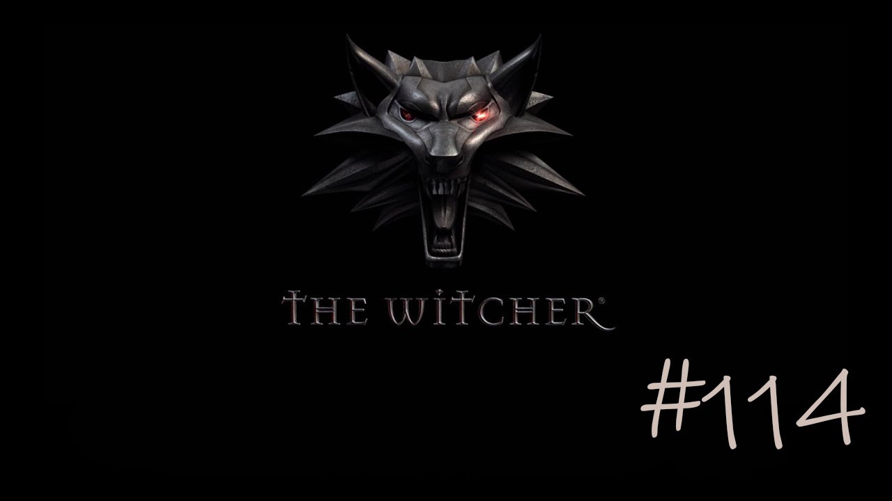 The Witcher #114