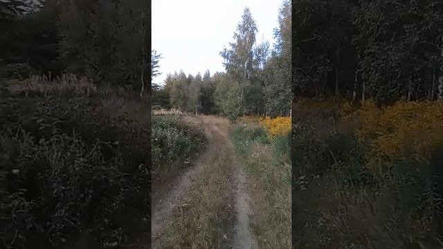 Воздержание более двух месяцев