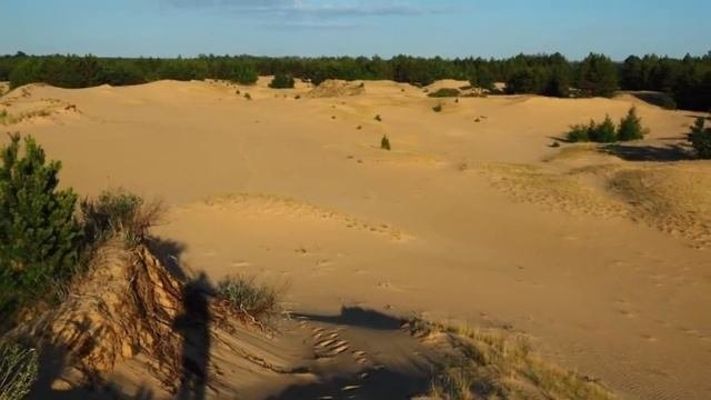 Пустыня Сахара в Воронежской области. Самая неправильная пустыня