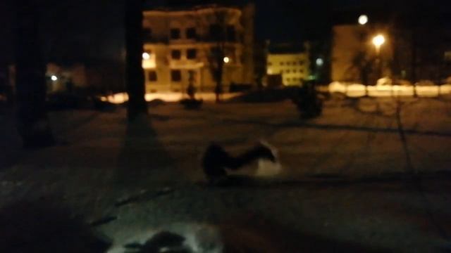 супермаркет - пошлая молли смотреть онлайн