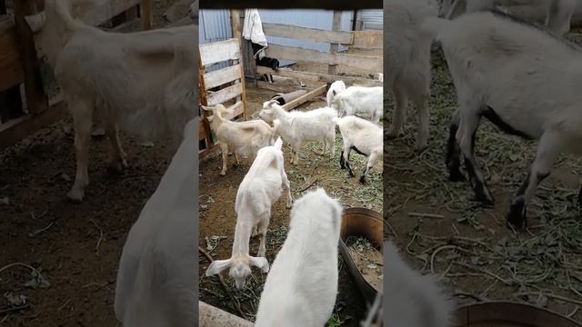 А у нас много нового смотрите!! смотреть онлайн