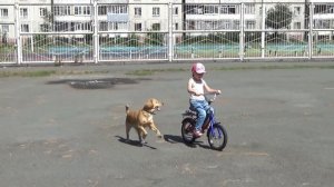 Учимся ездить на велосипеде