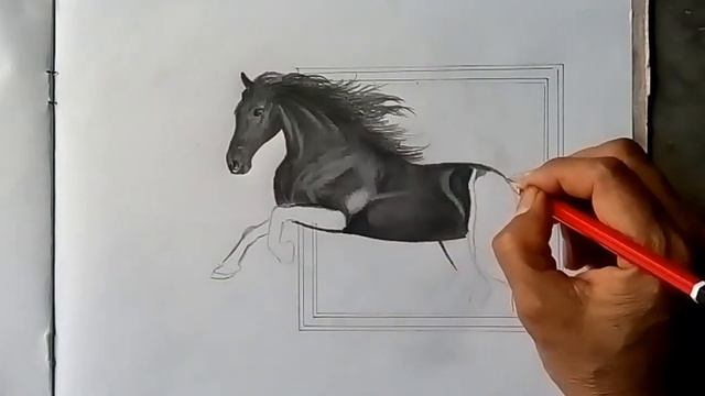 Horse drawing, how to draw a 3D portrait. смотреть онлайн