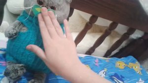 НОВОСТИ/соска для басика,басик учится в школе!
