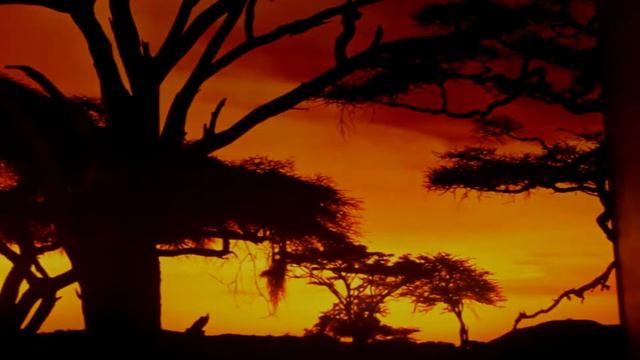 Световое панно смотреть онлайн