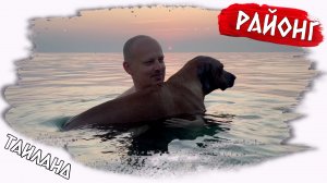 Секретный Районг: Приключение на Красивом Пляже с Верным Четвероногим Другом