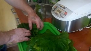 Виноградные листья на зиму.