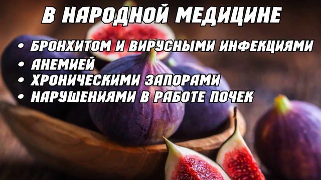 Инжир | Узнай какая польза инжира для организма | Противопоказания инжира