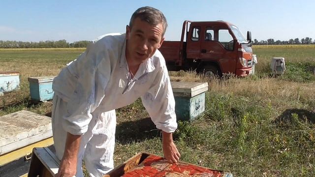 Обработал пчёл от клеща после сокращения корпусов.О том что мы делали летом на пасеке. смотреть онлайн