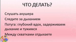СТАДИИ РОДОВ или как проходят роды