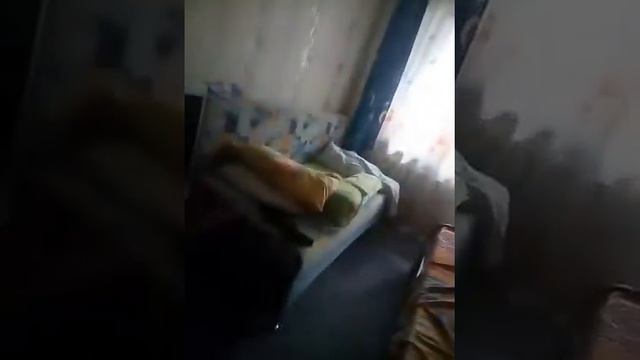 Квартира Льва смотреть онлайн