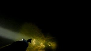 ночная подводная охота.mp4