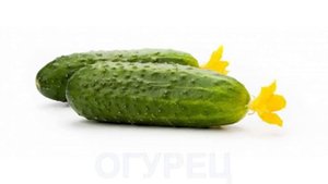 Овощи. Учим новые слова. Для самых маленьких.