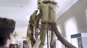 Первый день конкурса «Первый шаг» в СКФУ