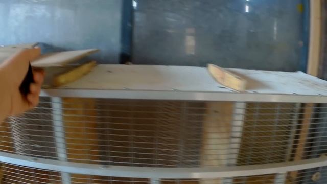 клетка для птиц ,своими руками(снято в сентябре) смотреть онлайн