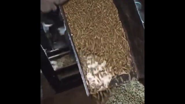 Производительность Гранулятора DR 150 Подвижная Матрица Granulator Performance DR 150 Movable Matri смотреть онлайн