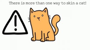 There is more than one way to skin a cat idiom #idiomfriday Learn English idioms 13.