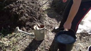 на #даче можно #компост и #навоз #дрожжей и сахара 3 ложки  и воду будет весной земля 23 10 2021