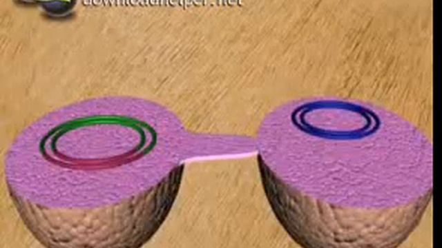 Поглощение ДНК бактериями смотреть онлайн