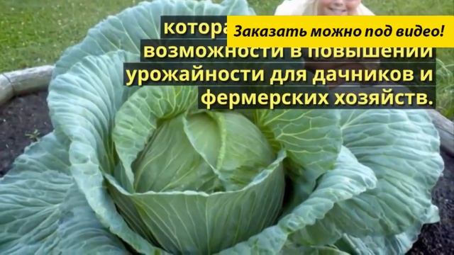 Мочевина удобрение применение