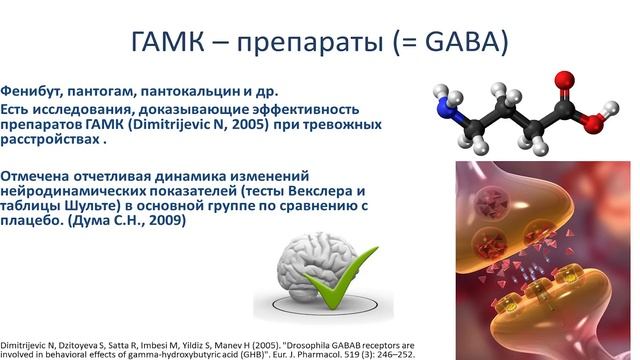 Илья Мартынов: "Ускорение работы мозга. Научный взгляд"