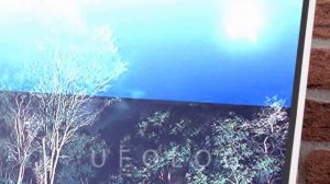 Полиция Торонто поделилась видео странного яркого света, сияющего в небе во время грозы