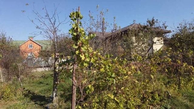 ОТЛИЧНЫЙ ДОМ В ГОРОДЕ! БЕЛОРЕЧЕНСК! ЦЕНА: 8 000 000 РУБ!