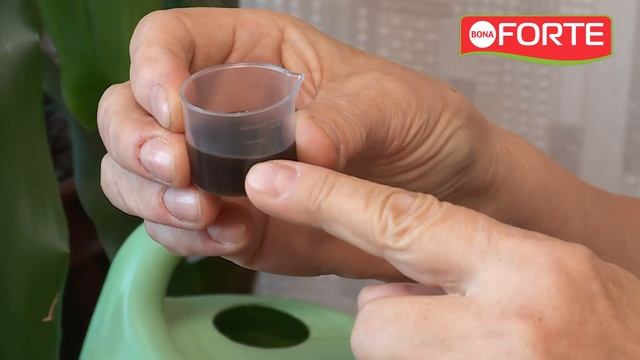 Удобрение для всех комнатных цветов, как правильно разводить и поливать рассказывает Тетя Таня