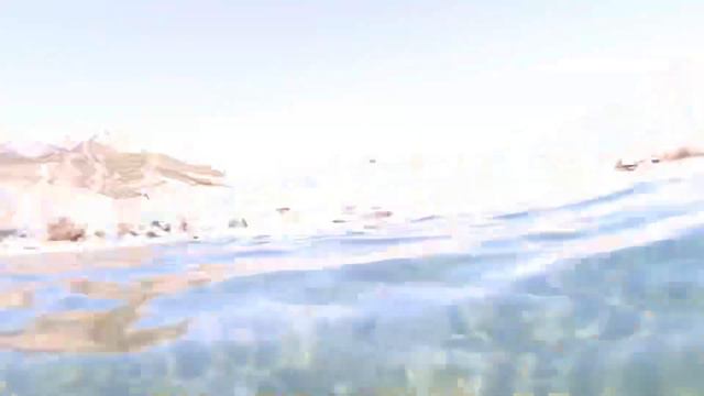 Крым. Лисья бухта, дельфин. смотреть онлайн