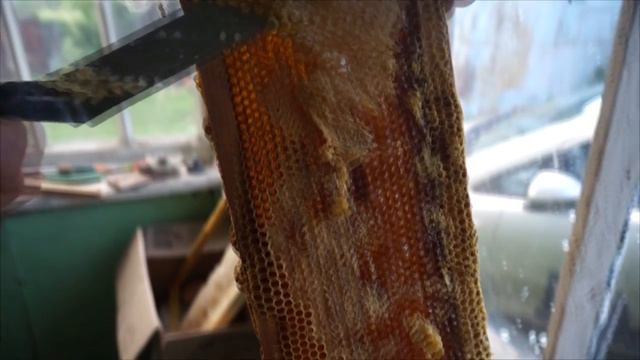 Как качают мёд! смотреть онлайн