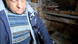 Клетка для перепелов своими руками.