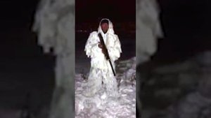 Мага Лезгин.  Доллар - Лес