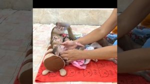 Very Comfy!! Mom Best Taking Care For 4 Siblings To Sleep With Much Care & Softly Comfort ,