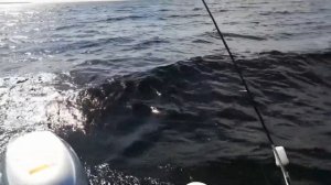 Поход на катере по Ладоге