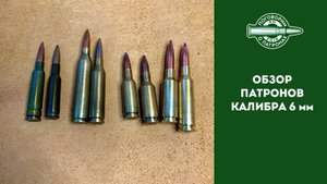 Патроны калибра 6мм
