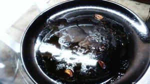 Рулька в аэрогриле