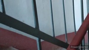 Обзор дом серии 124-87-107