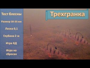 Зимняя блесна Трехгранка - тест классики