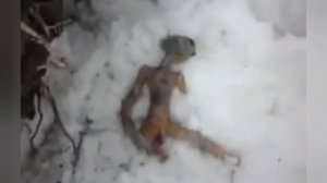 ТОП 3 настоящих инопланетян снятых на камеру