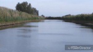 Рыбалка, Ростовская область Колузаевские каналы.