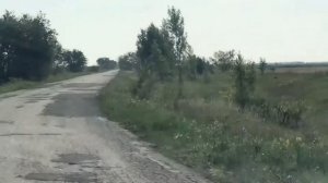 Еду в лесополосу
