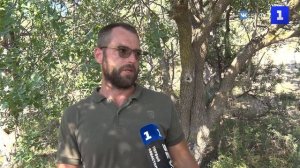 Кемпинг по правилам: в Севастополе провели рейд в лесной зоне