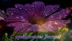 Joe Cocker  - You Are So Beautiful / Джо Кокер " Ты так прекрасна..."