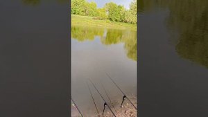 Погода для ловли осетра.