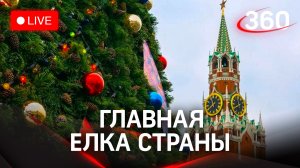 Кремлевская елка: как ее рубят в Подмосковье. Прямой эфир