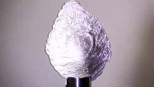 "Ракушка с жемчужиной" - уникальная серебряная монета смотреть онлайн